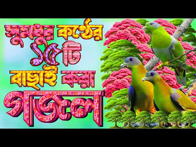 Qizil paypoqdagi yosh qoramagiz porno Onlayn porno sikishga majbur