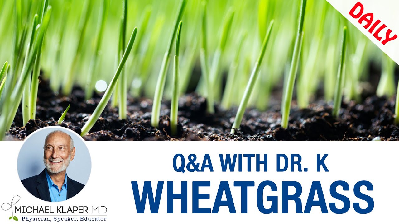 Wheatgrass The Many Benefits Of Wheatgrass Juice YouTube
