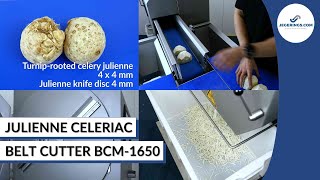 Machine Cutting Celeriac | Industrial Vegetable Belt Cutter BCM-1650