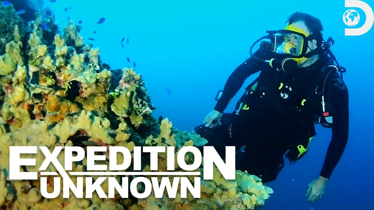 Film backdrop image for Josh Gates Explores a Massive Japanese Shipwreck from World War II (2023)