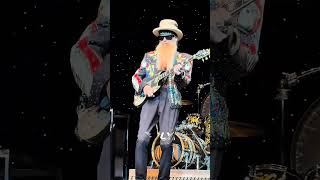 ZZ Top ✨🎸 in action #billygibbons #elwood #zztop  #rockmusic #flymusik