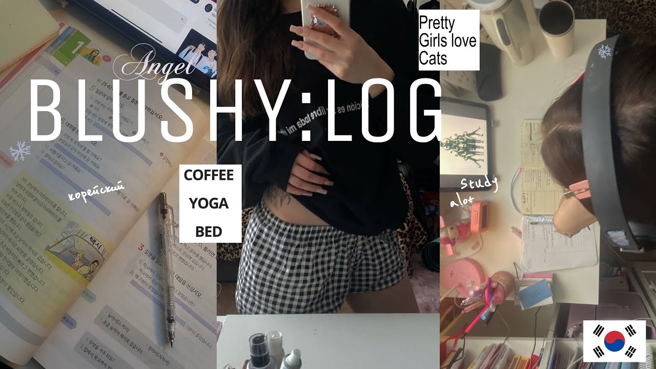 BLUSHY:LOG/ учёба и корейский