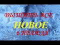 Вышить всё НОВОЕ (6 неделя) 2021г /Вышивка/Эстафета/кактусы