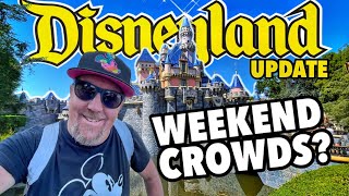 ARE WEEKENDS CROWDED AT DISNEYLAND FULL TOUR and IN-PARK UPDATE! Is it Packed + What to Expect!