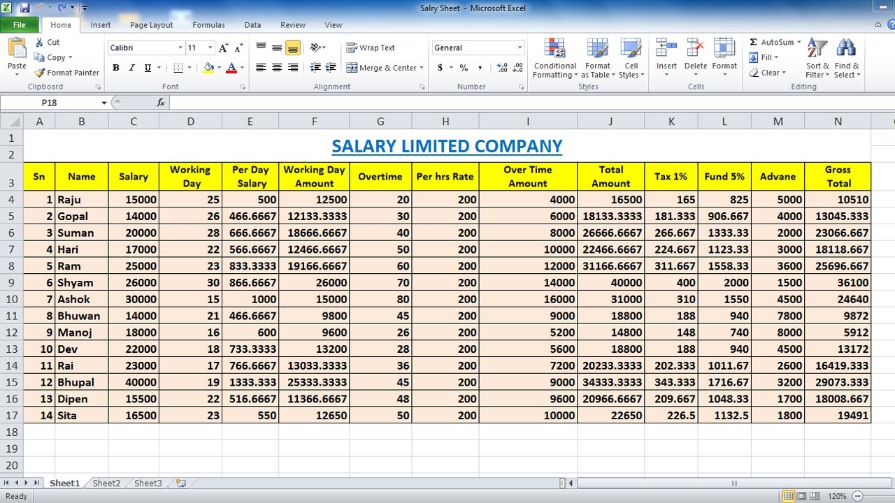 salary-sheet-limited-company-entry-in-ms-excel-salary-sheet-in-ms