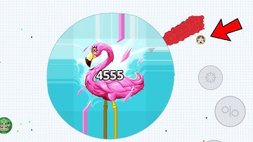 非常識なソロマクロゲームプレイ (AGARIO MOBILE)