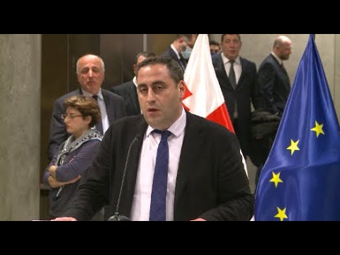 \"დასავლეთმა კარგად დაინახა სად დგას ოპოზიცია და სად დგას „ქართული ოცნება“