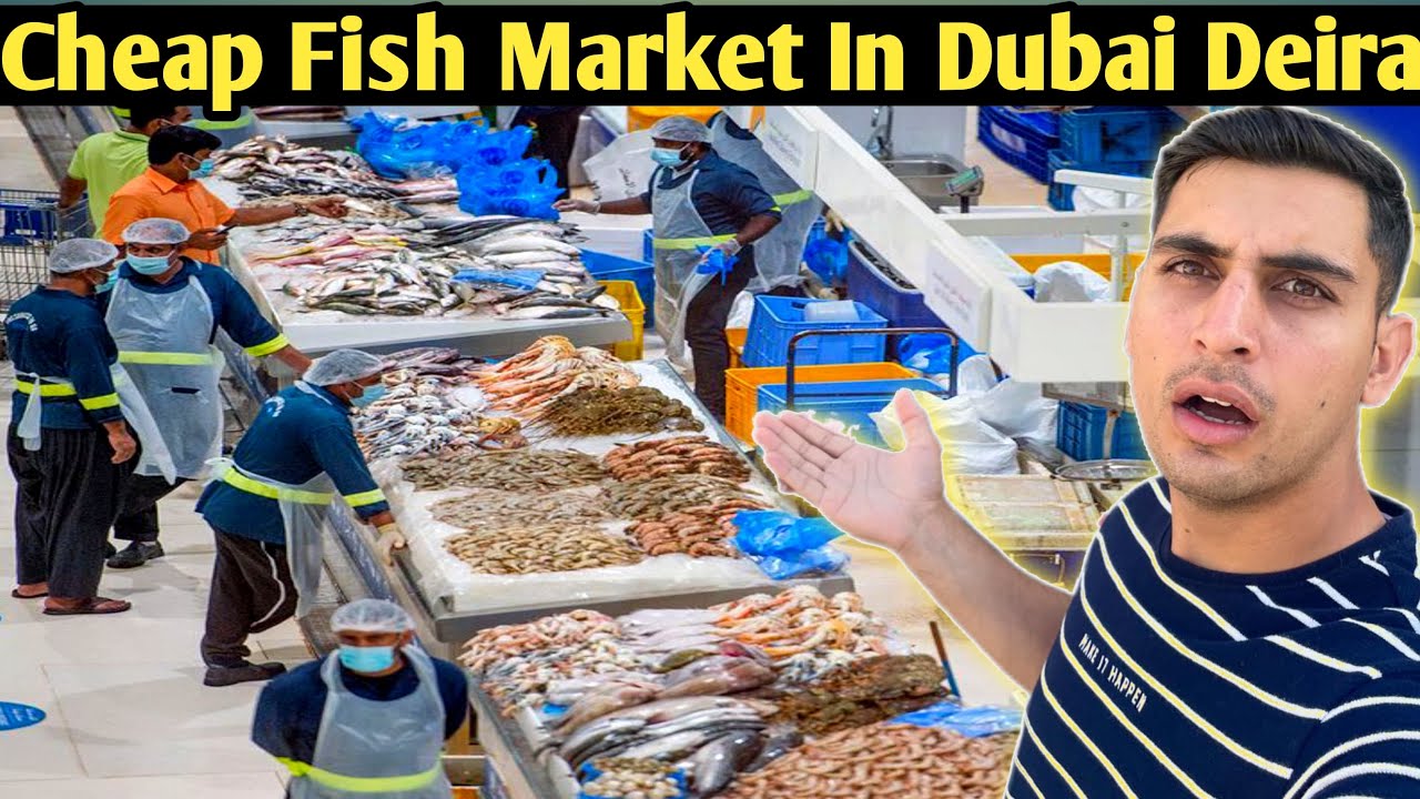 Dubai cheap Fish Market in Deira😱||Dubai ke sub say Bari fish Mandi||