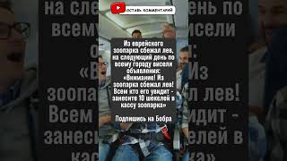 Забавная история про льва из еврейского зоопарка! #юмор #анекдот