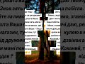 Зять до тещі #життя #life  #відеодня #емоції #love #гумор #family #жарт #прикол