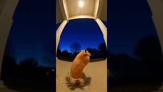 Download Lagu In the groove MP3