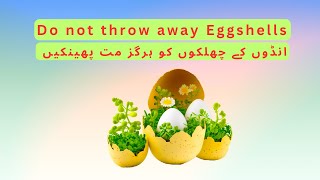 Celebrity Do not throw away eggshells | Brilliant House Plant Profile