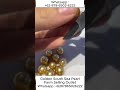 Indonesia Dark golden south sea pearl farm distributor 👉 abdurrachim com 👉 Phn +62 878 6502 6222 p