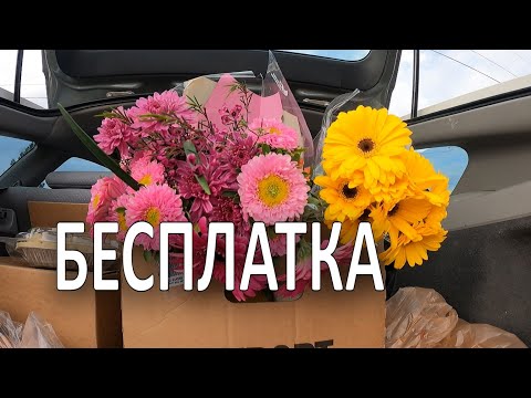 Фудбанк. Бесплатная Еда