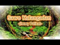 Sawo Kalangadan - Jimmy Palikat (Lyrics)