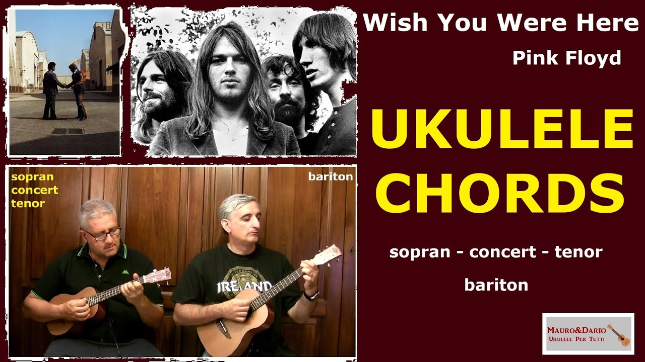 Testo Canzone I Wish You Were Here