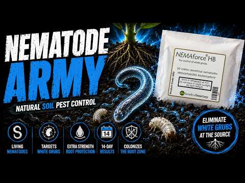 How to Apply Nematodes for Natural Soil Pest Control