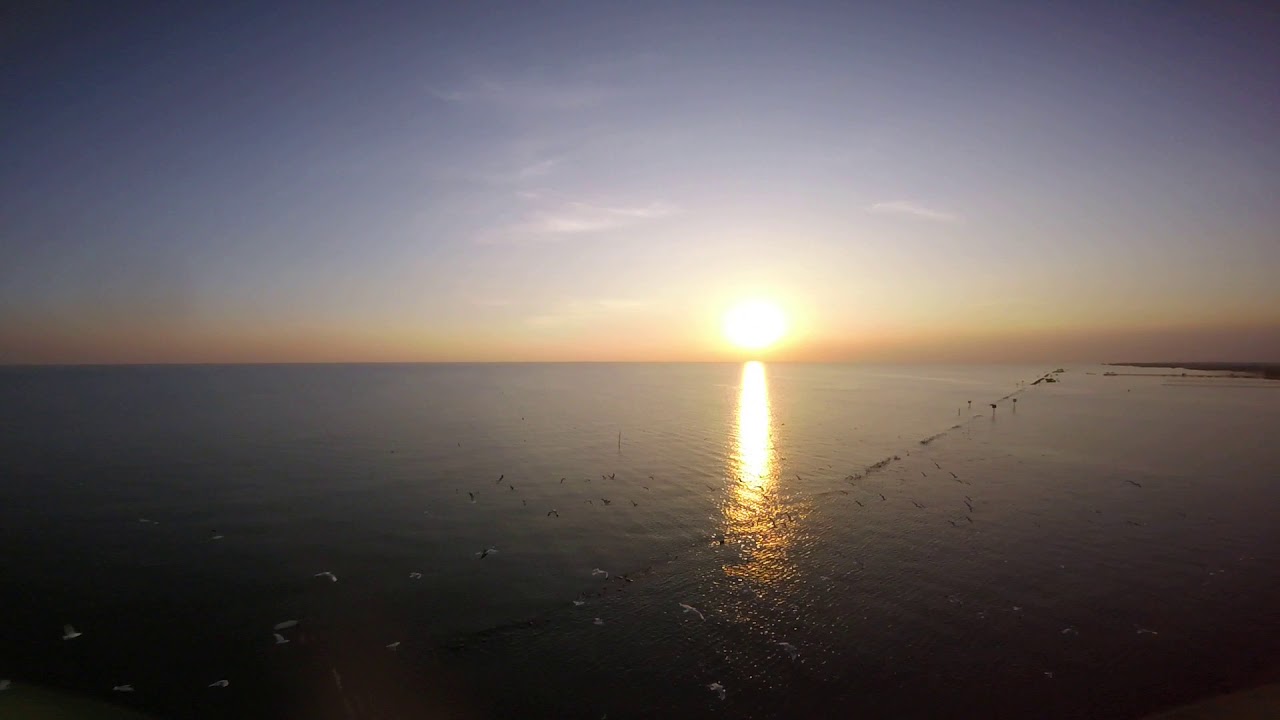 Birds and another sunset at Bangpu Beach House