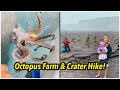 Big Island Trip - Kona Octopus Farm | Black Sand Beach | Kilauea Iki Trail