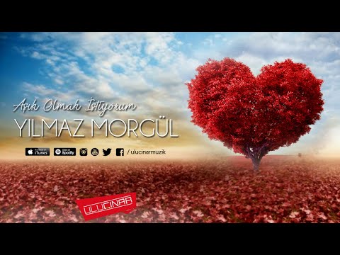 Yılmaz Morgül - Kavuşamadık