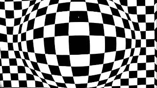 Peter KASSOVITZ: Vasarely (1960)