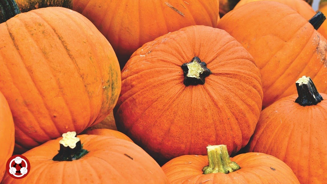 Fruits Vegetables 水果蔬菜 How to pronounce pumpkin 南瓜,カボチャ,호박,citrouille