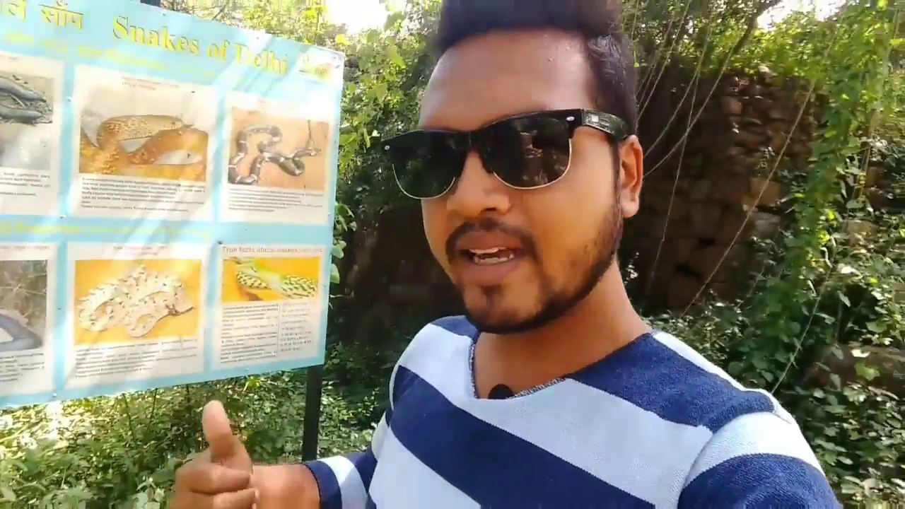 SANJAY VAN : The Most Haunted Forest Of Delhi
