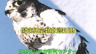 日本ワシタカ研究センター なごや生物多様性センター なごや生きものライブラリー