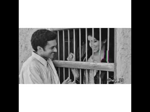 علي بحر نعم حبيت انا عيونك