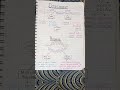 DIFFERENCE BETWEEN DISCOUNT AND REBATE