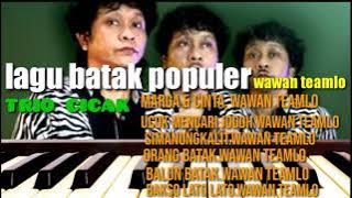 lagu Batak populer Wawan teamlo trio cicak marga dan cinta