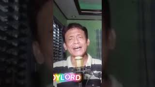 We Dont Have To Say The Words By Gerard Joling cover By Joylord