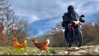 Çıldırtan Lezzet, Tavuk Ciğer Şiş Chicken Liver Skewer