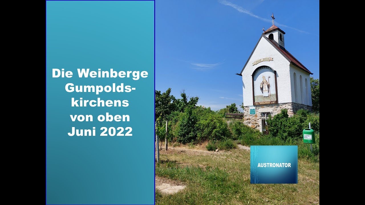 Die Weinberge von Gumpoldskirchen von oben