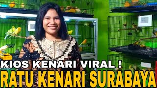 KIOS KENARI VIRAL ! SI RATU KENARI SURABAYA BONGKAR LAGI RIBUAN EKOR STOKNYA KOMPLIT HARGA DIOBRAL screenshot 4