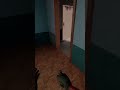 Finger guns in ghosts of tabor! #gameplay #vr