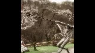Sculptures by Robin Wight
