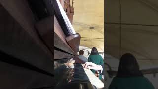 Tu Es Petrus Antif. De Comunhão Ave Verum Missa 300617