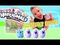 Father & Son HATCHIMALS SURPRISE! / Mystery Egg Pack!