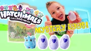 Father & Son Hatchimals Surprise Mystery Egg Pack