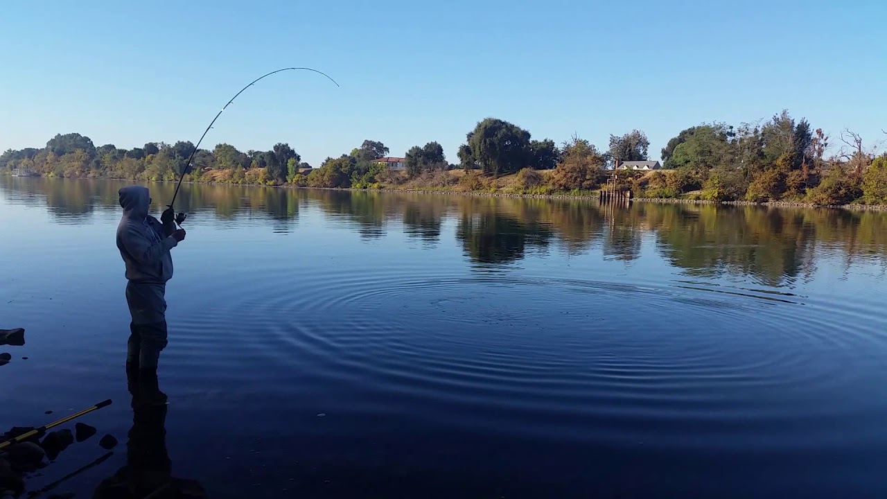 Salmon Fishing Sacramento River Freeport ca. 10/24/2017 YouTube