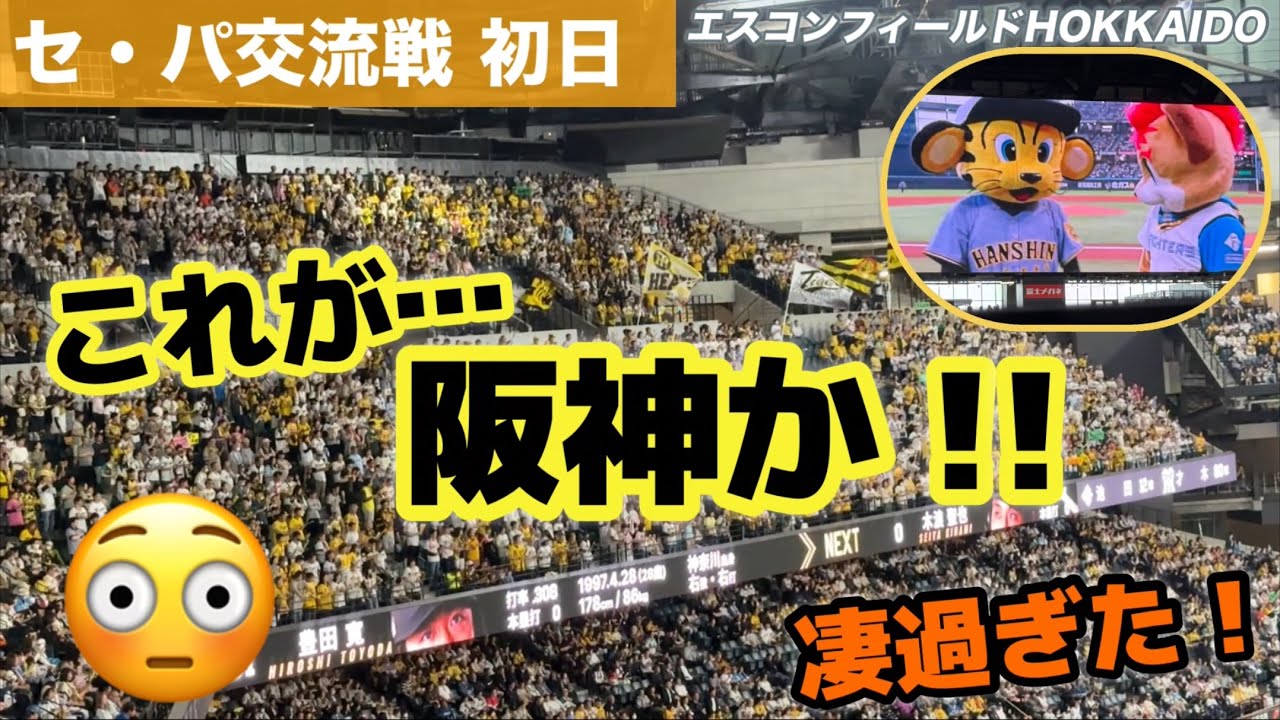 セ・パ交流戦‼︎初めての阪神の応援📣360度阪神さん！に自分を見失うトコだった…😳