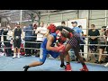 Sparring rotation [Vivero Business]