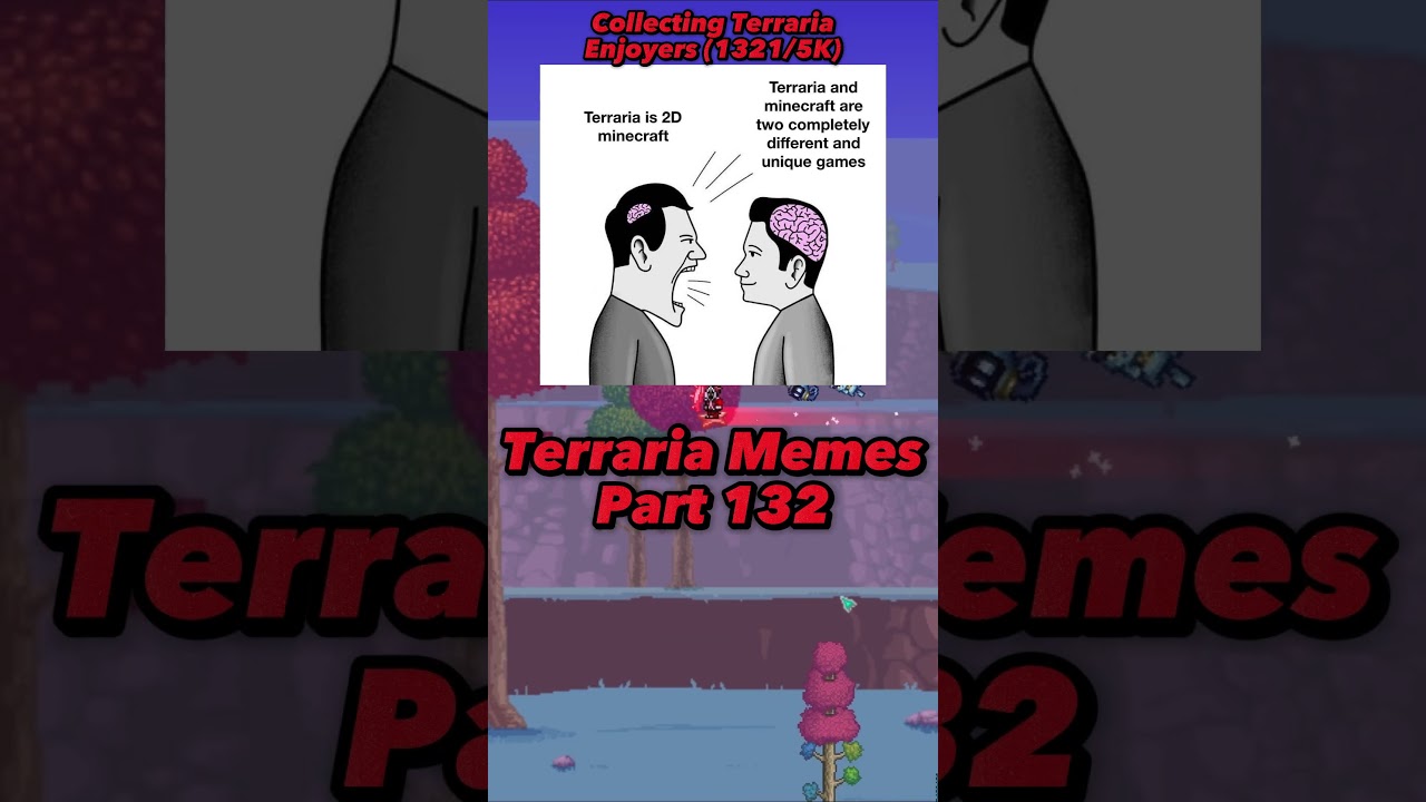 Terraria Fans Is This Correct? 