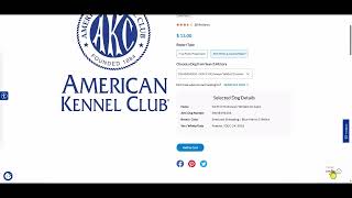 AKC Breeder of Merit Credits Overview