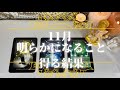 11月明らかになること、得る結果