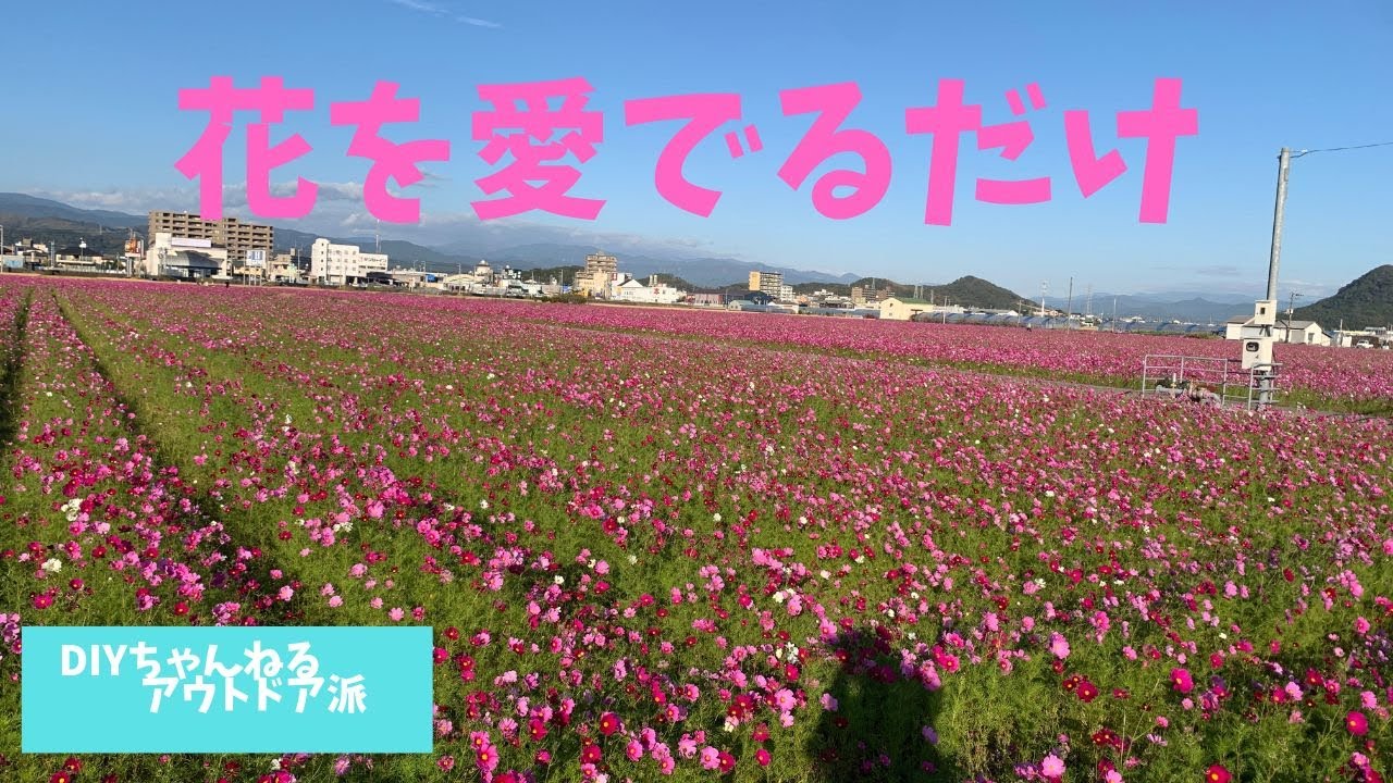花を愛でて花に癒される Youtube