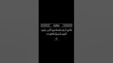 ما تيسّر من سورة النّساء