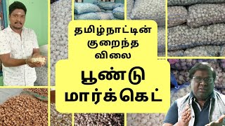 Garlic Wholesale Market In Tamilnadu | Poondu Wholesale Market | Vadugapatti | Eden TV Business