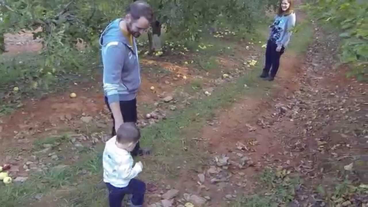 Apple Picking In Ellijay Georgia YouTube apple-picking-in-ellijay-georgia-youtube